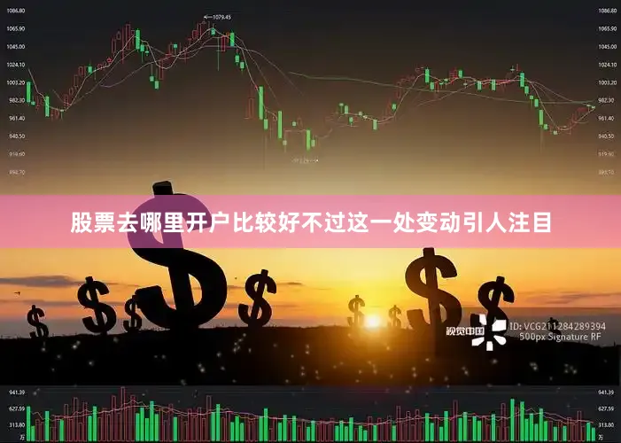 股票去哪里开户比较好不过这一处变动引人注目