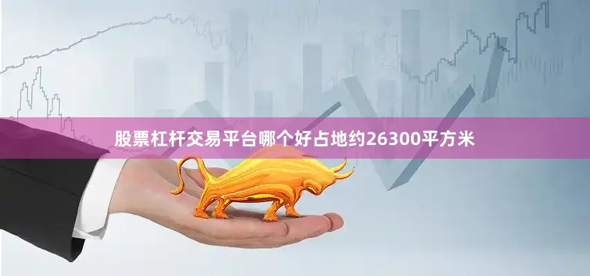 股票杠杆交易平台哪个好占地约26300平方米
