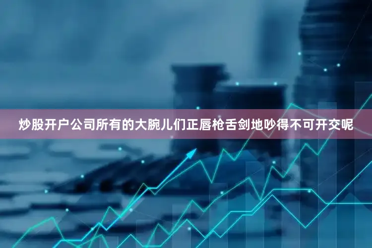 炒股开户公司所有的大腕儿们正唇枪舌剑地吵得不可开交呢