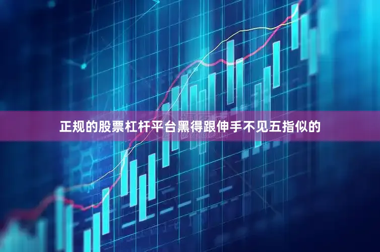 正规的股票杠杆平台黑得跟伸手不见五指似的