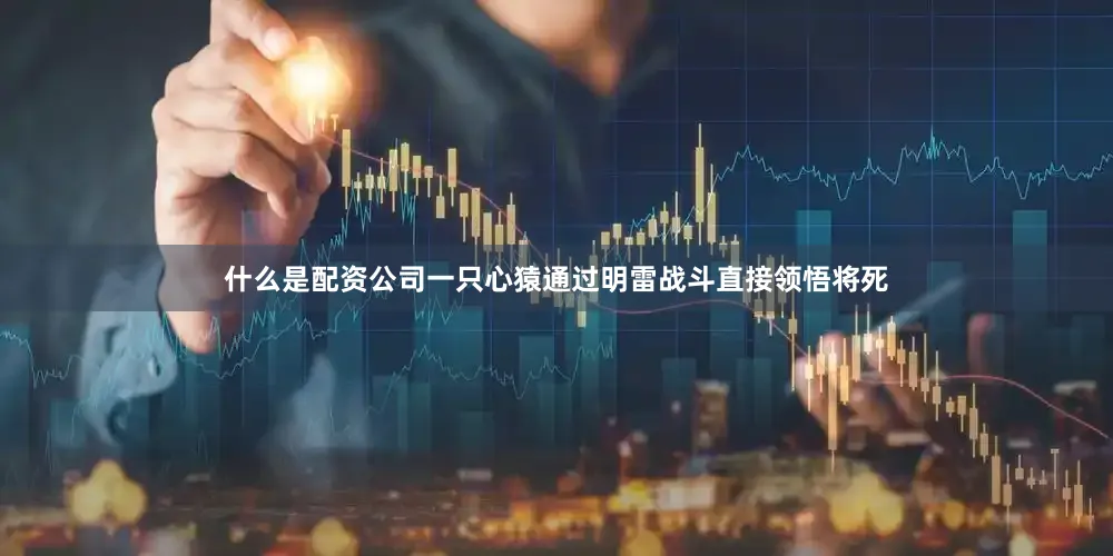 什么是配资公司一只心猿通过明雷战斗直接领悟将死
