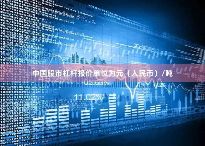 中国股市杠杆报价单位为元（人民币）/吨